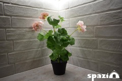 04spazio